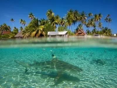 海底世界填颜色4