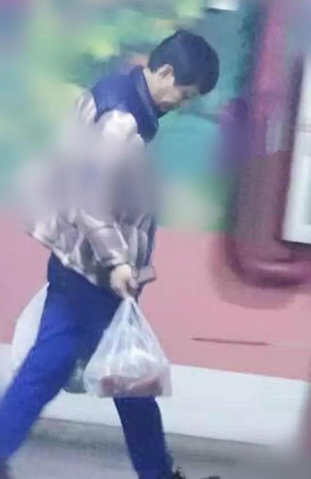 救援可爱小猪仔