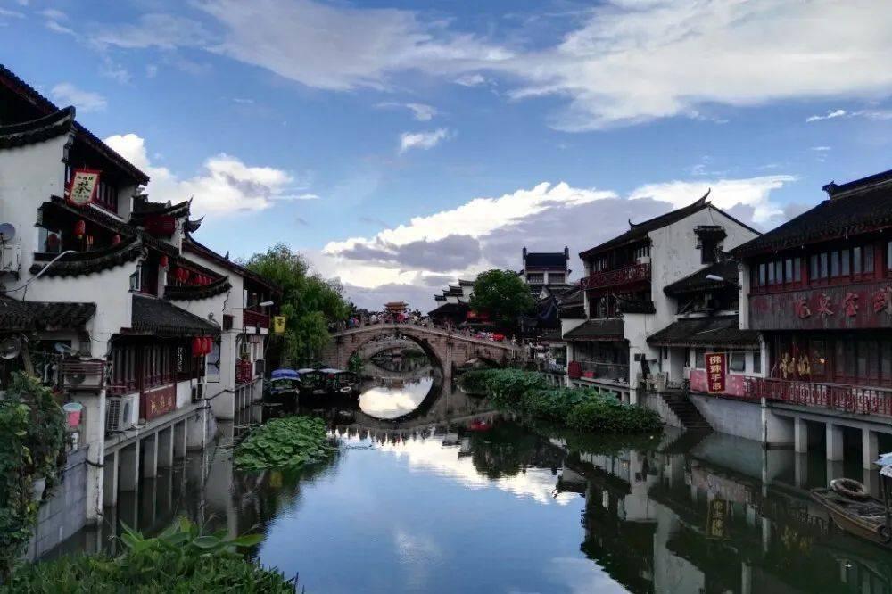 救援萌老虎